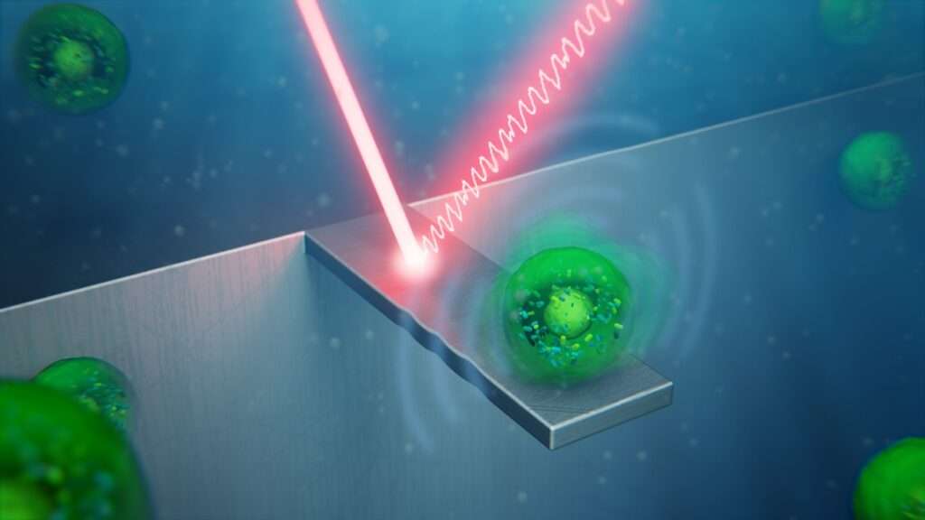 Recreación artística de la ‘vibraciones’ de las células. IMN-CSIC